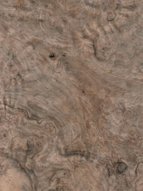 European walnut burl European walnut burl