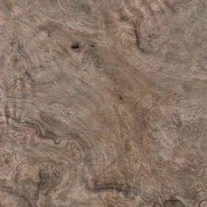 European walnut burl European walnut burl