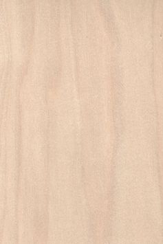 Rotary cut birch