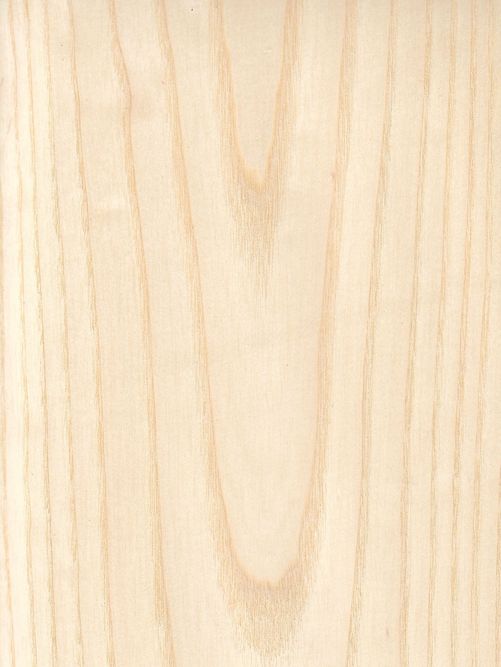 American ash crown American ash crown