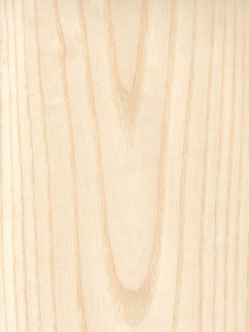 American ash crown