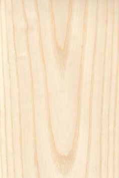 American ash crown