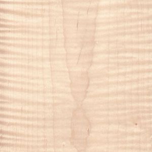 Figured maple crown Figured maple crown