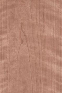 Riegel-Kirschbaum Blume