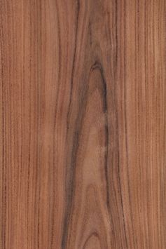 Santos-Palisander Blume