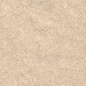 Desert Sand Madrona Burl Desert Sand Madrona Burl