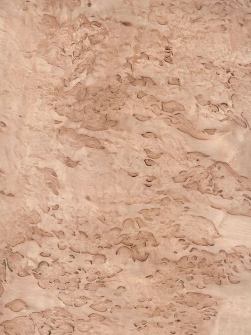 Birch burl Birch burl