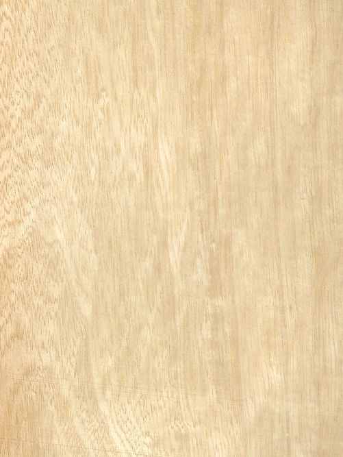 Limba Limba