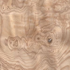 Olive ash burl Olive ash burl