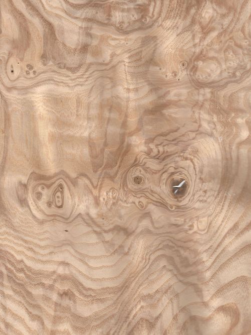 Olive ash burl Olive ash burl