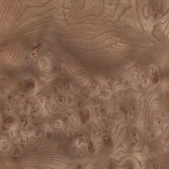 Rüster Maser Rüster Maser