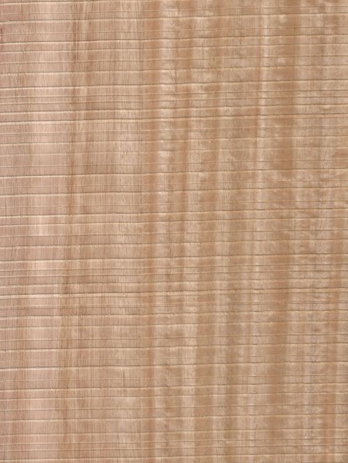 Sägeraue Eukalyptus Streifer