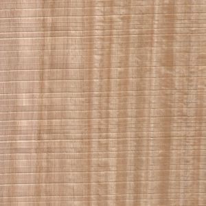 Sägeraue Eukalyptus Streifer