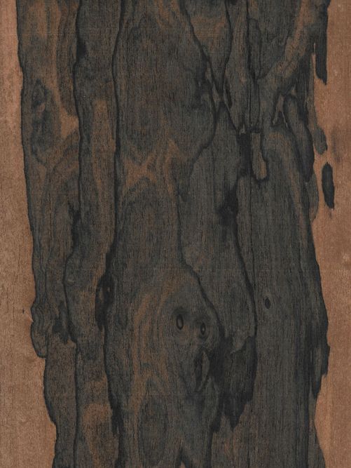Ziricote Ziricote
