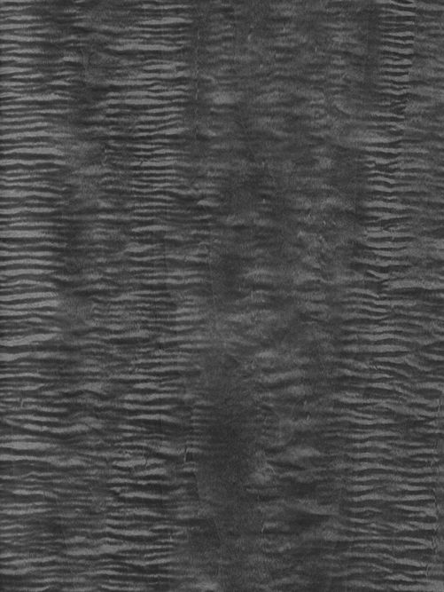 Rhino Grey Figured Sycamore Rhino Grey Figured Sycamore