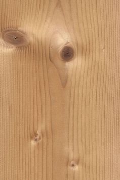 Geräucherte Astfichte