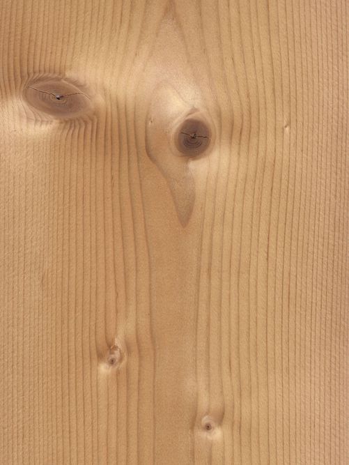 Geräucherte Astfichte