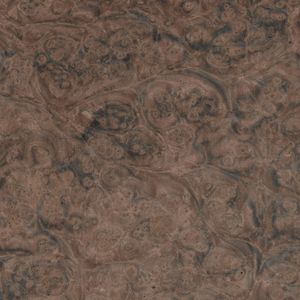 Walnut burl Walnut burl