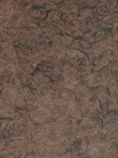 Walnut burl Walnut burl