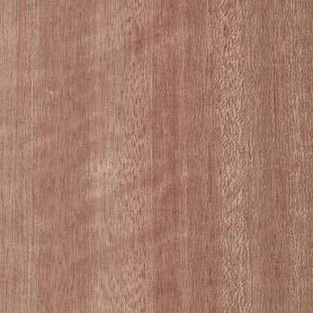 Rotes Meranti Rotes Meranti