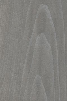 Smoke Grey Beech