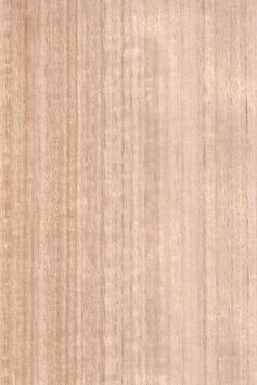 Eucalyptus quarters