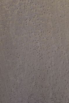 Silver Blade Birdseye Maple